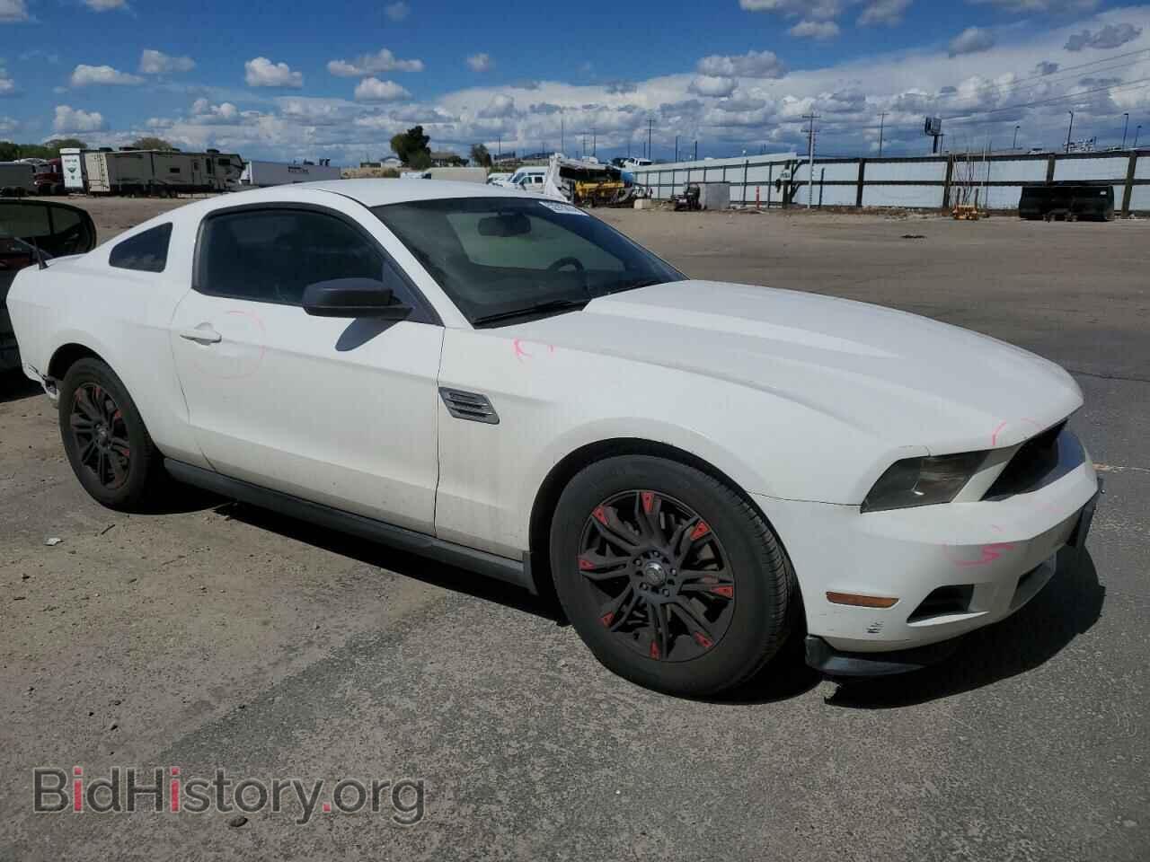 2012 FORD ALL Models - VIN: 1ZVBP8AM7C5211320 - Фото 4