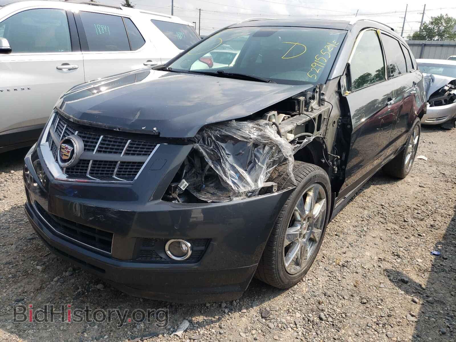 2010 CADILLAC SRX - VIN: 3GYFNFEY4AS511485 - Фото 2