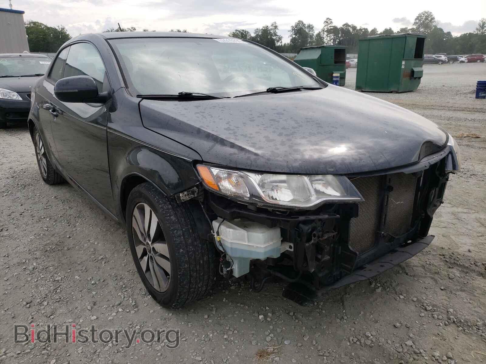 Фотография KNAFU6A27D5674282 - KIA FORTE 2013