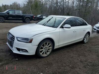 2014 Audi A4 Premium Plus, белый — VIN WAUFFCFL9EN028222, Copart