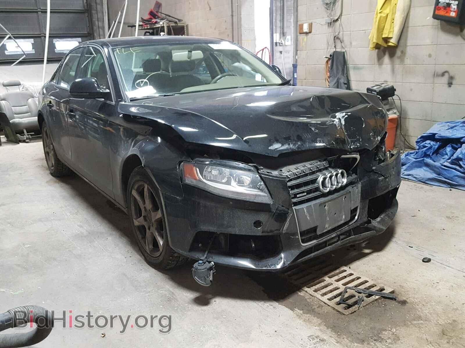 Фотография WAULF78K59N013348 - AUDI A4 2009