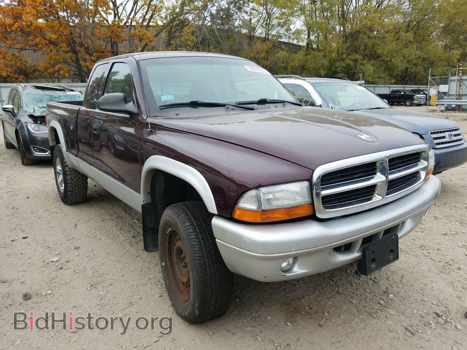 Photo 1D7HG42N34S712260 - DODGE DAKOTA 2004