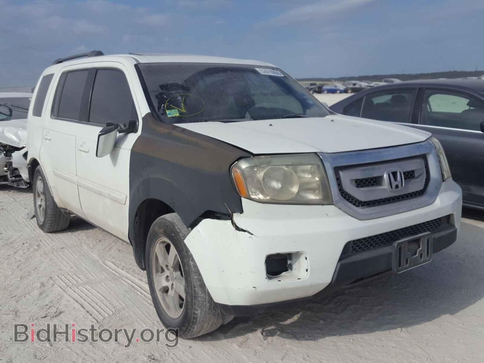 Фотография 5FNYF3H72BB032165 - HONDA PILOT 2011