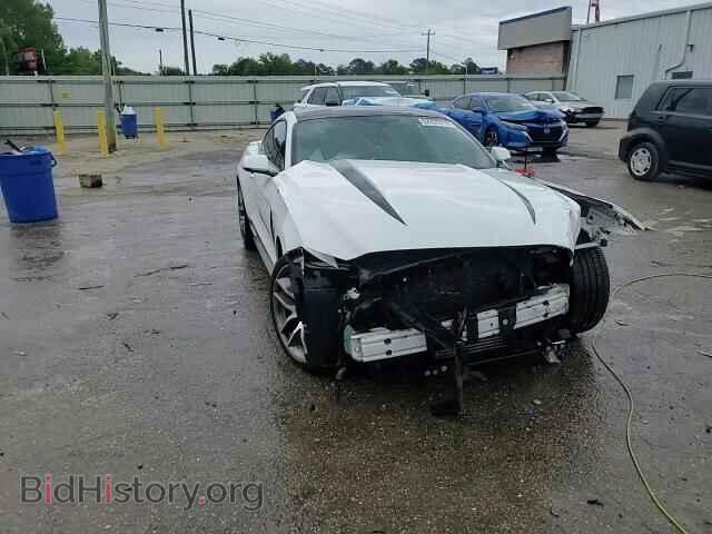 2016 FORD ALL Models - VIN: 1FA6P8TH7G5259657 - Фото 14