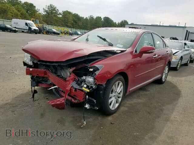 2010 LEXUS ES350 - VIN: JTHBK1EG6A2413107 - Фото 2