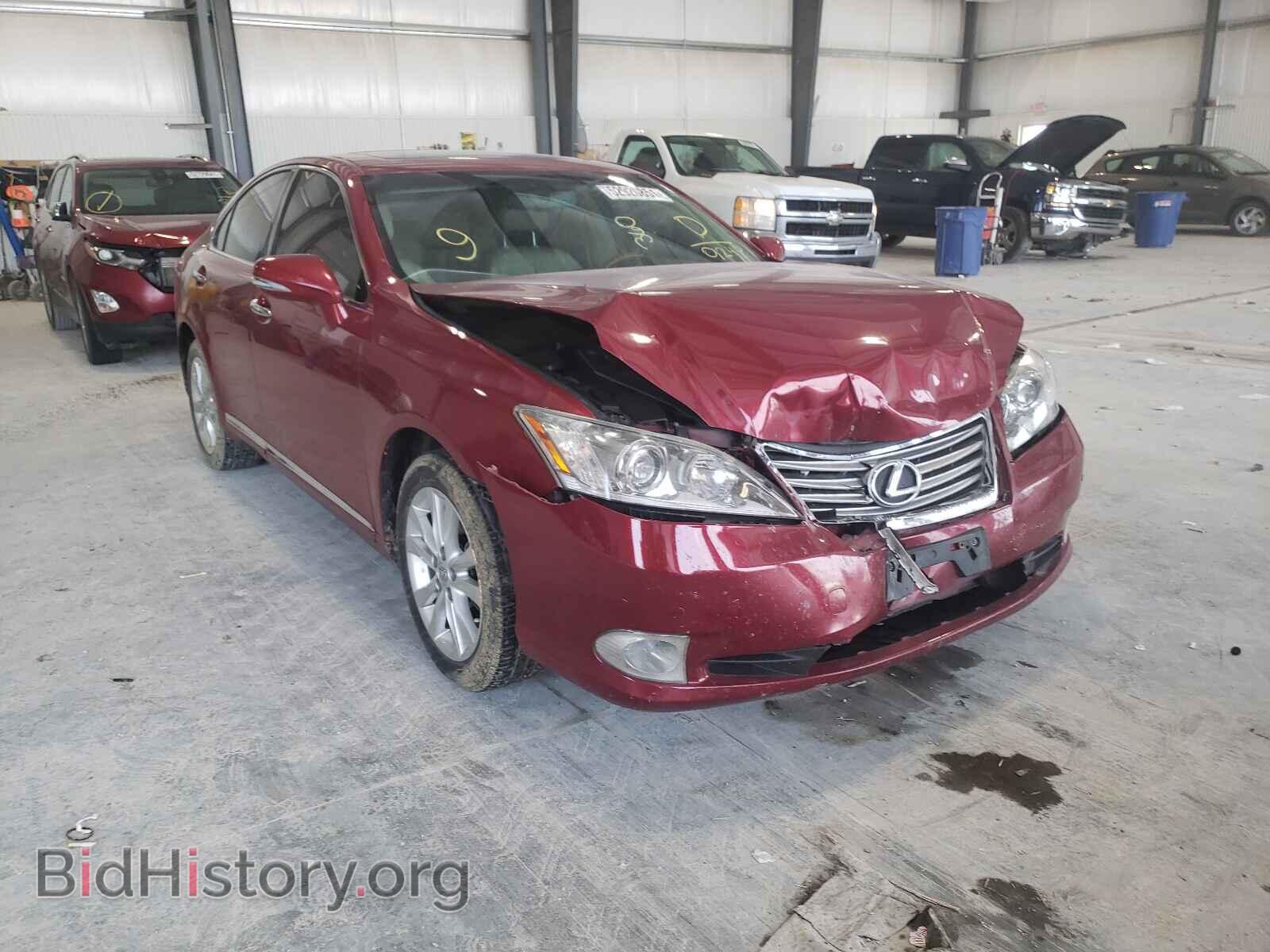 Фотография JTHBK1EG6C2499246 - LEXUS ES350 2012