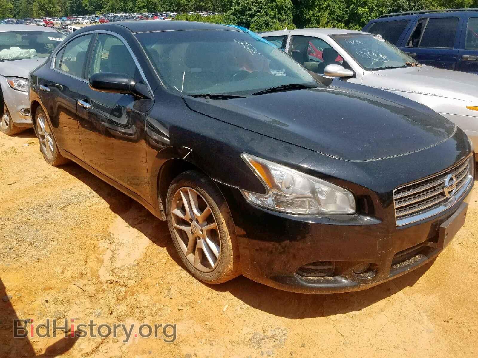 Photo 1N4AA5AP5BC864172 - NISSAN MAXIMA S 2011