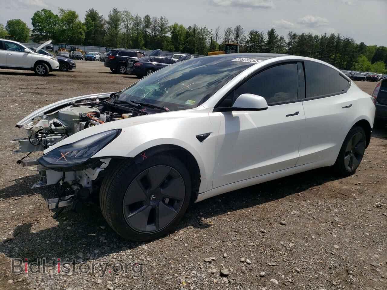 Photo 5YJ3E1EB1MF852895 - TESLA MODEL 3 2021
