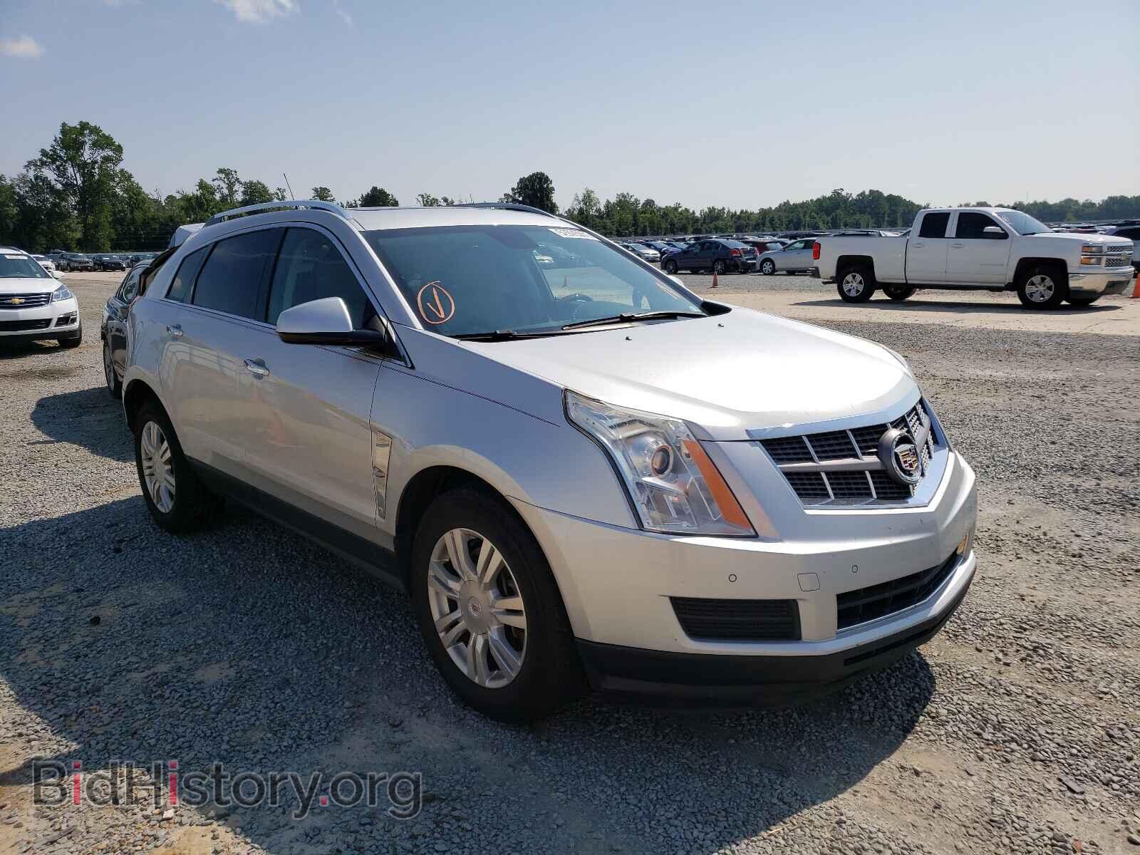 Фотография 3GYFNAEY3AS647755 - CADILLAC SRX 2010