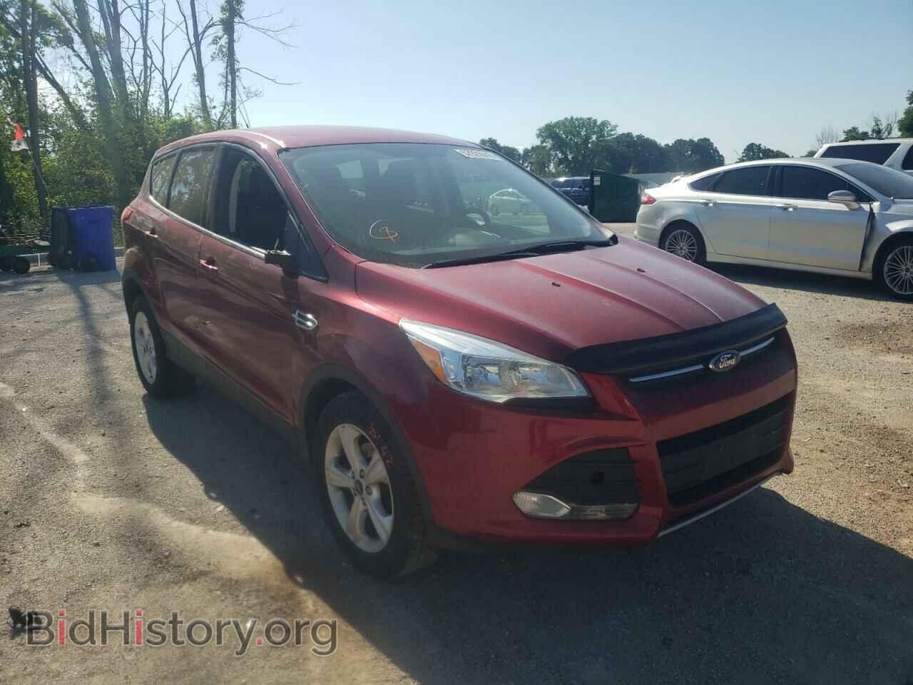 Фотография 1FMCU0GX7EUA62737 - FORD ESCAPE 2014