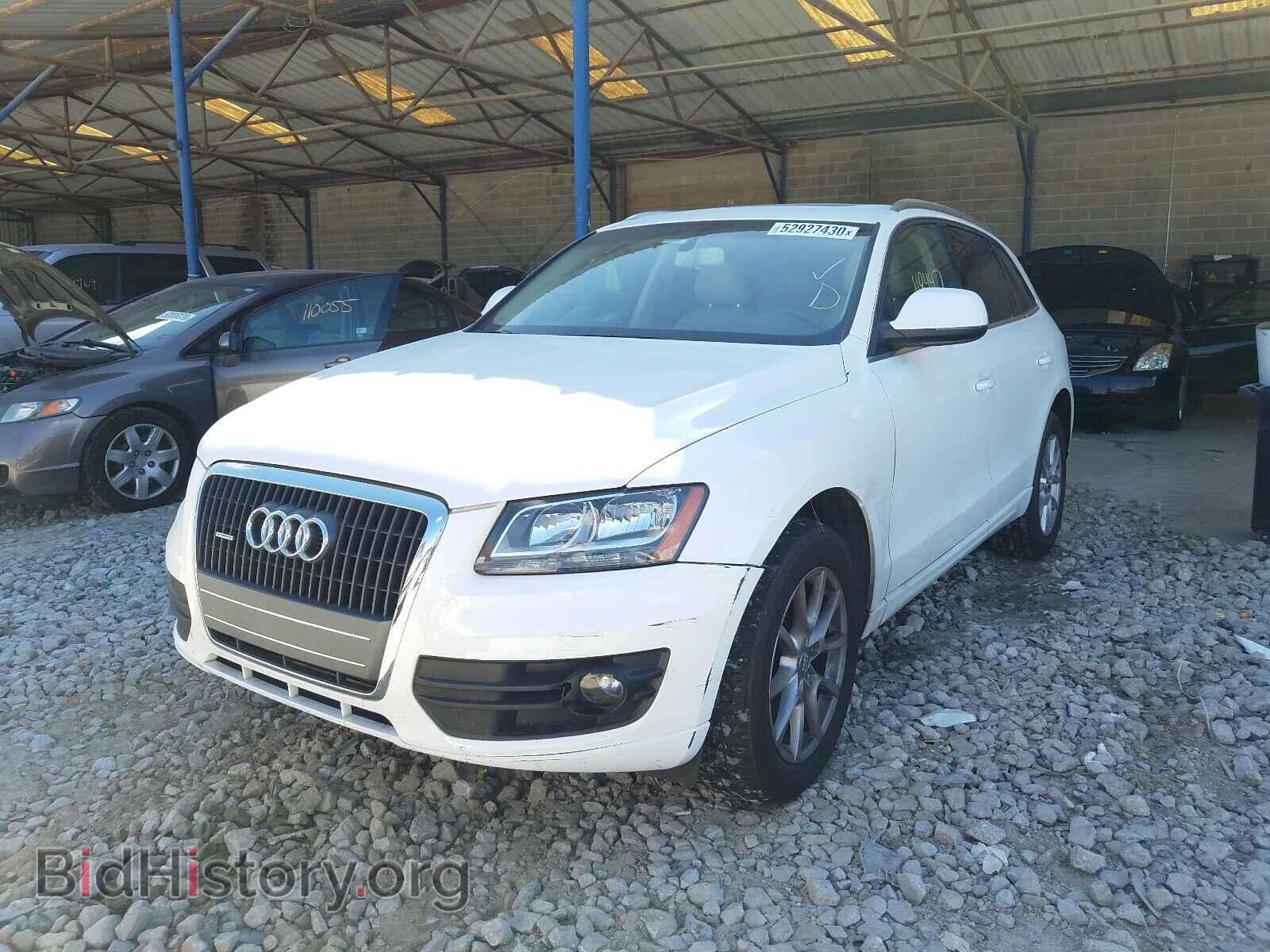 2011 AUDI Q5 - VIN: WA1CFAFP8BA018372 - Фото 2