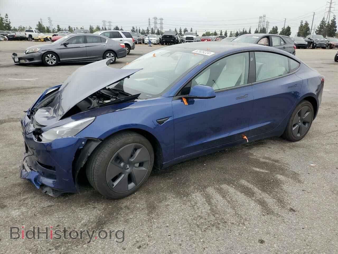 Photo 5YJ3E1EA1PF614816 - TESLA MODEL 3 2023