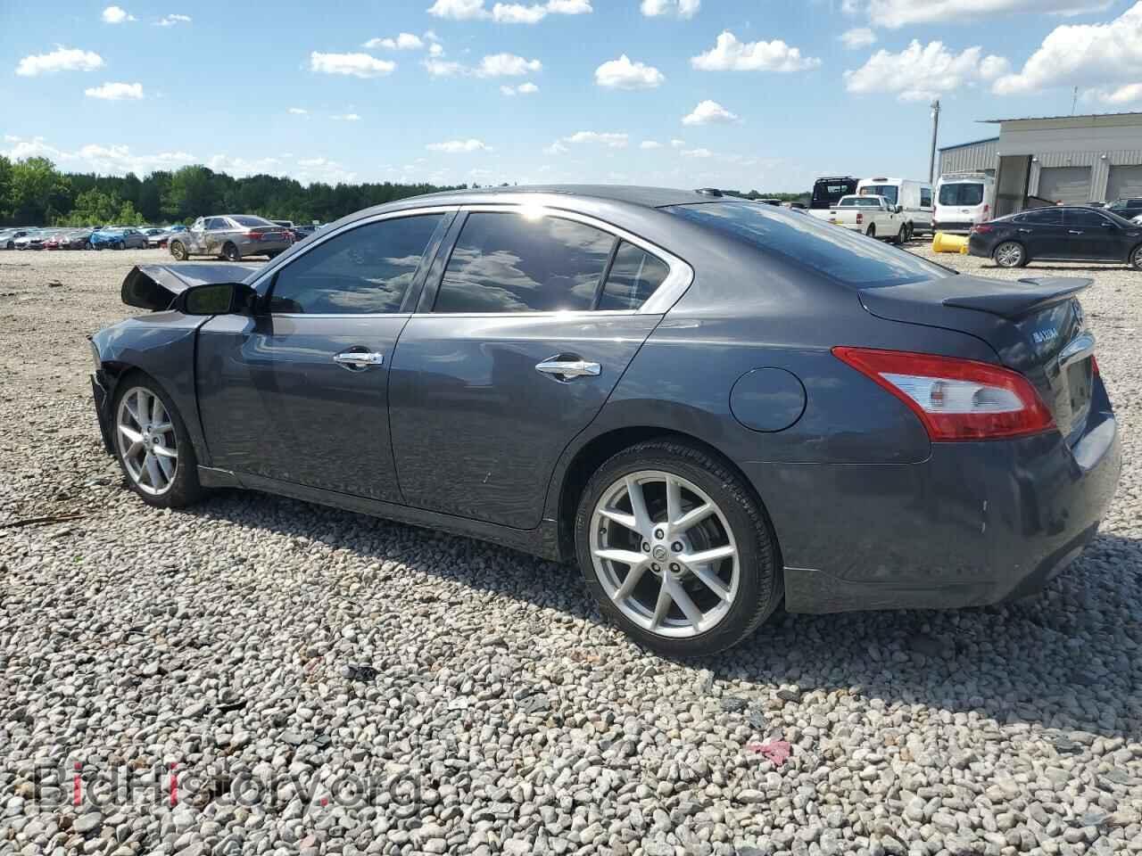 2009 NISSAN MAXIMA - VIN: 1N4AA51E89C816867 - Фото 2
