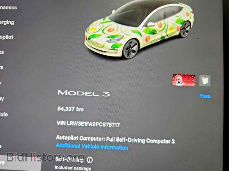 2023 Tesla MODEL 3 (VIN LRW3E1FA9PC875717) — photo 9 of 12