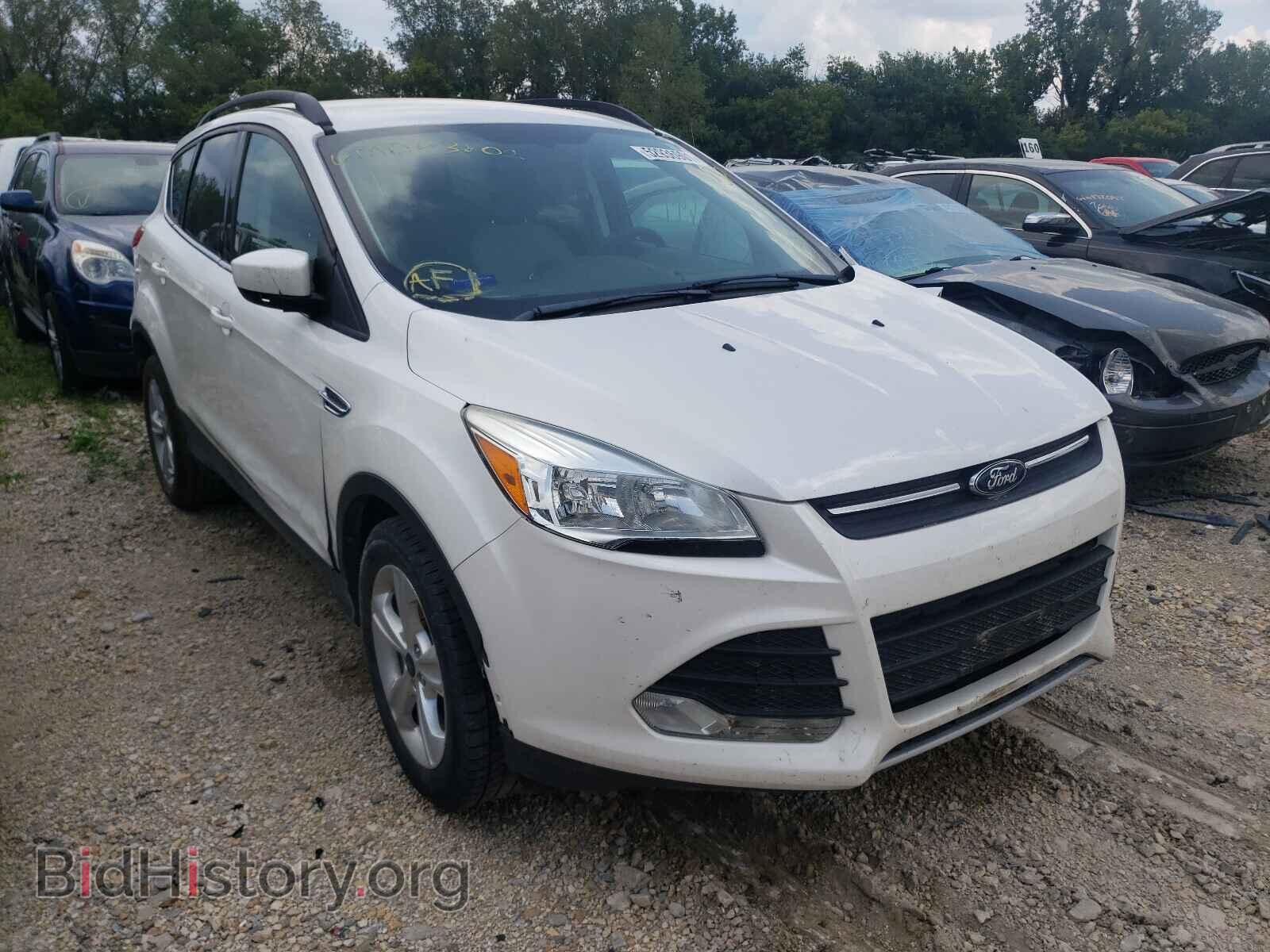 Photo 1FMCU0G94EUD43802 - FORD ESCAPE 2014