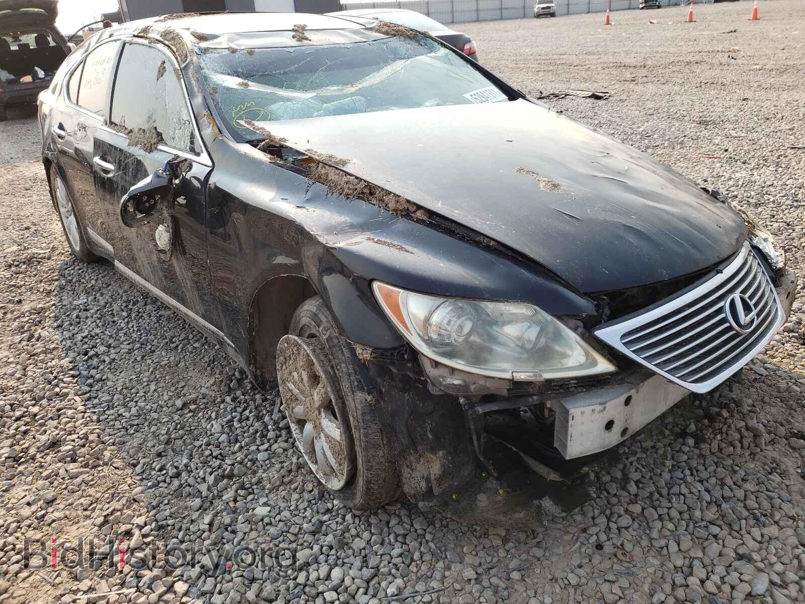 Photo JTHBL46F695087873 - LEXUS LS460 2009