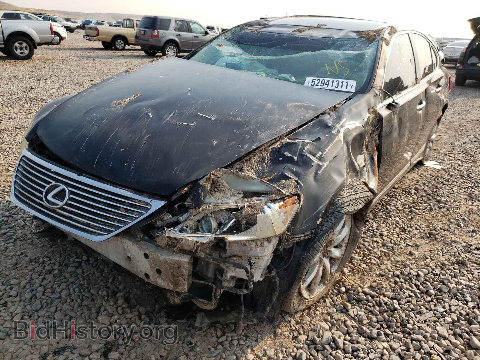 2009 LEXUS LS460 - VIN: JTHBL46F695087873 - Фото 2