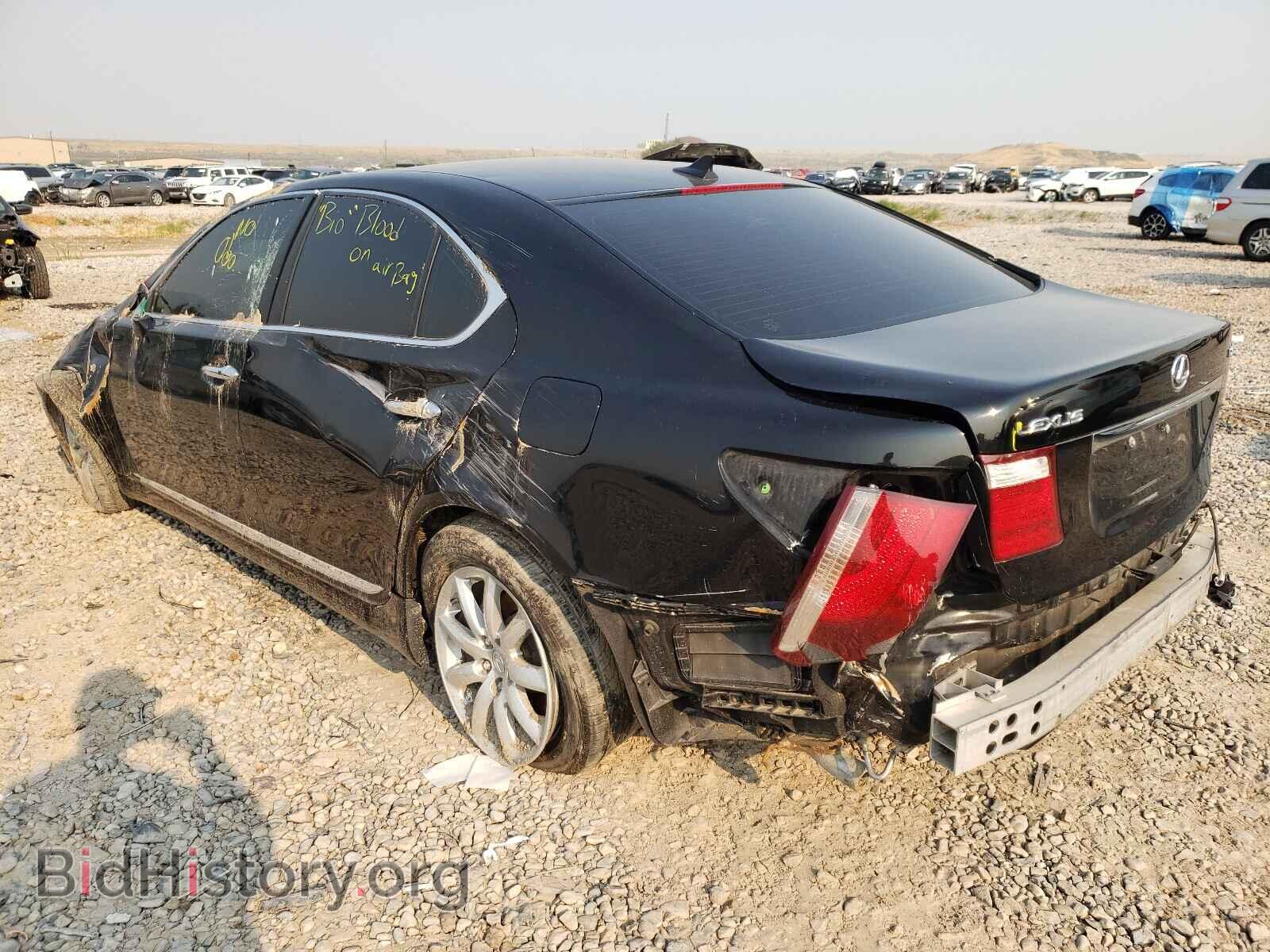 2009 LEXUS LS460 - VIN: JTHBL46F695087873 - Фото 3