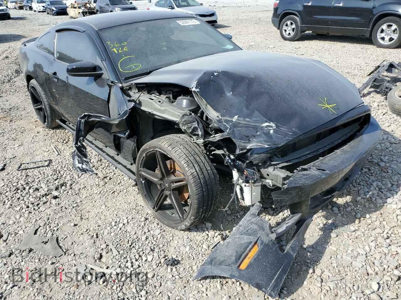 Фотография 1ZVBP8AM2E5318360 - FORD MUSTANG 2014