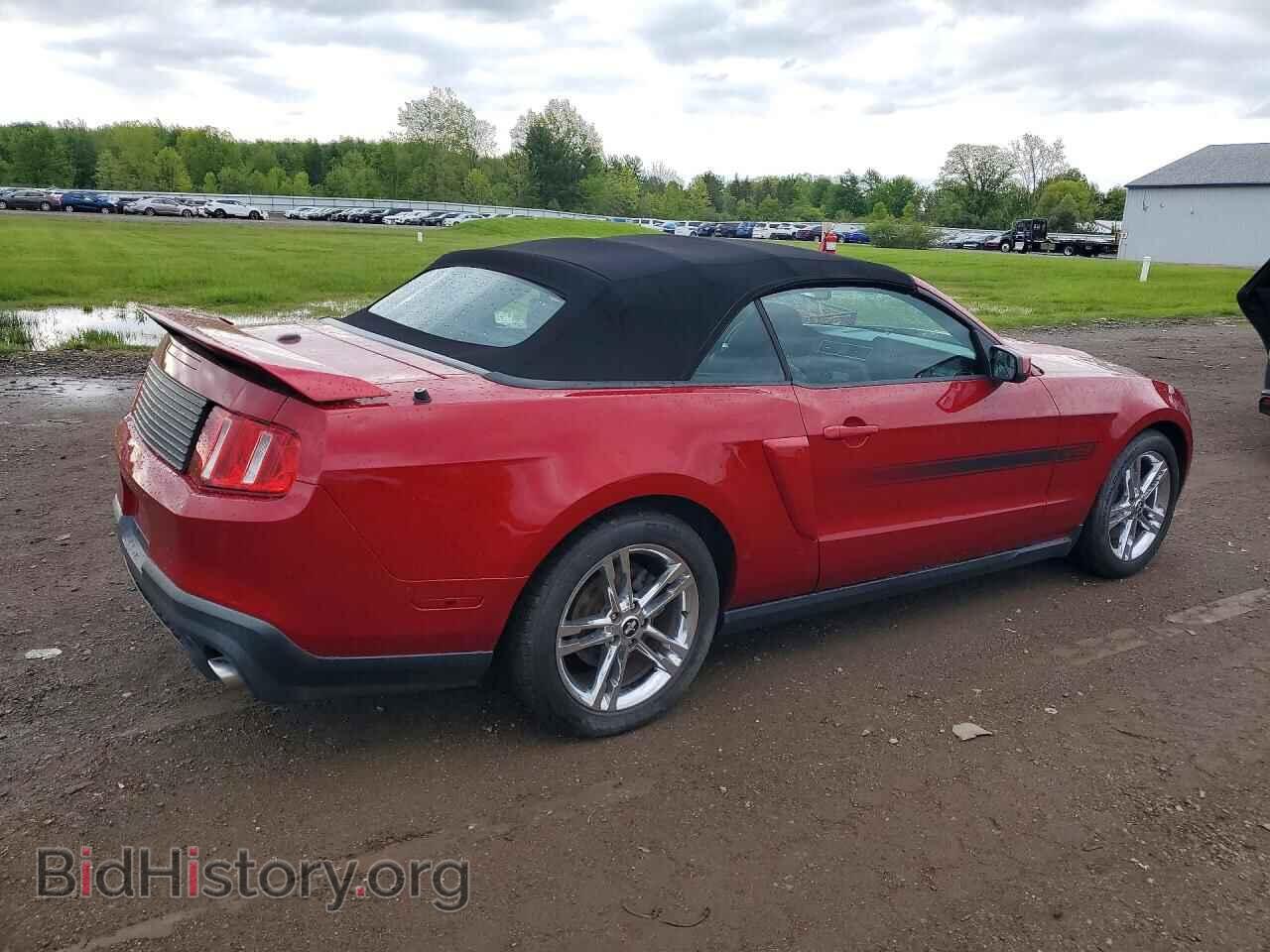 2011 FORD MUSTANG - VIN: 1ZVBP8FF4B5101818 - Фото 3