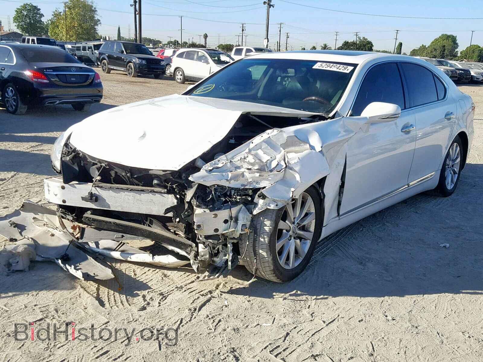 2011 LEXUS LS460 - VIN: JTHBL5EF6B5104748 - Photo 2