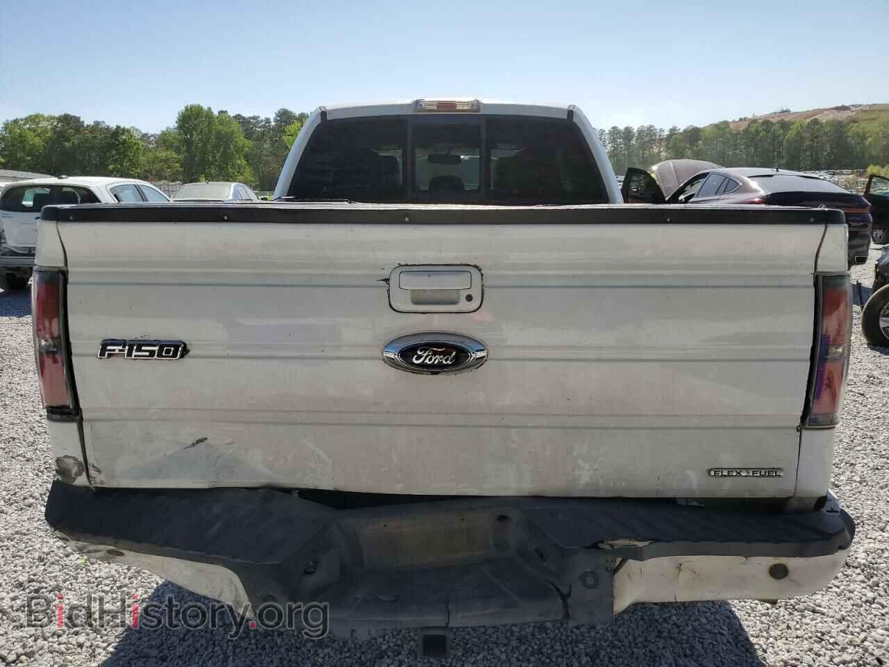 2013 FORD F-150 - VIN: 1FTFX1CF4DFA35316 - Фото 6