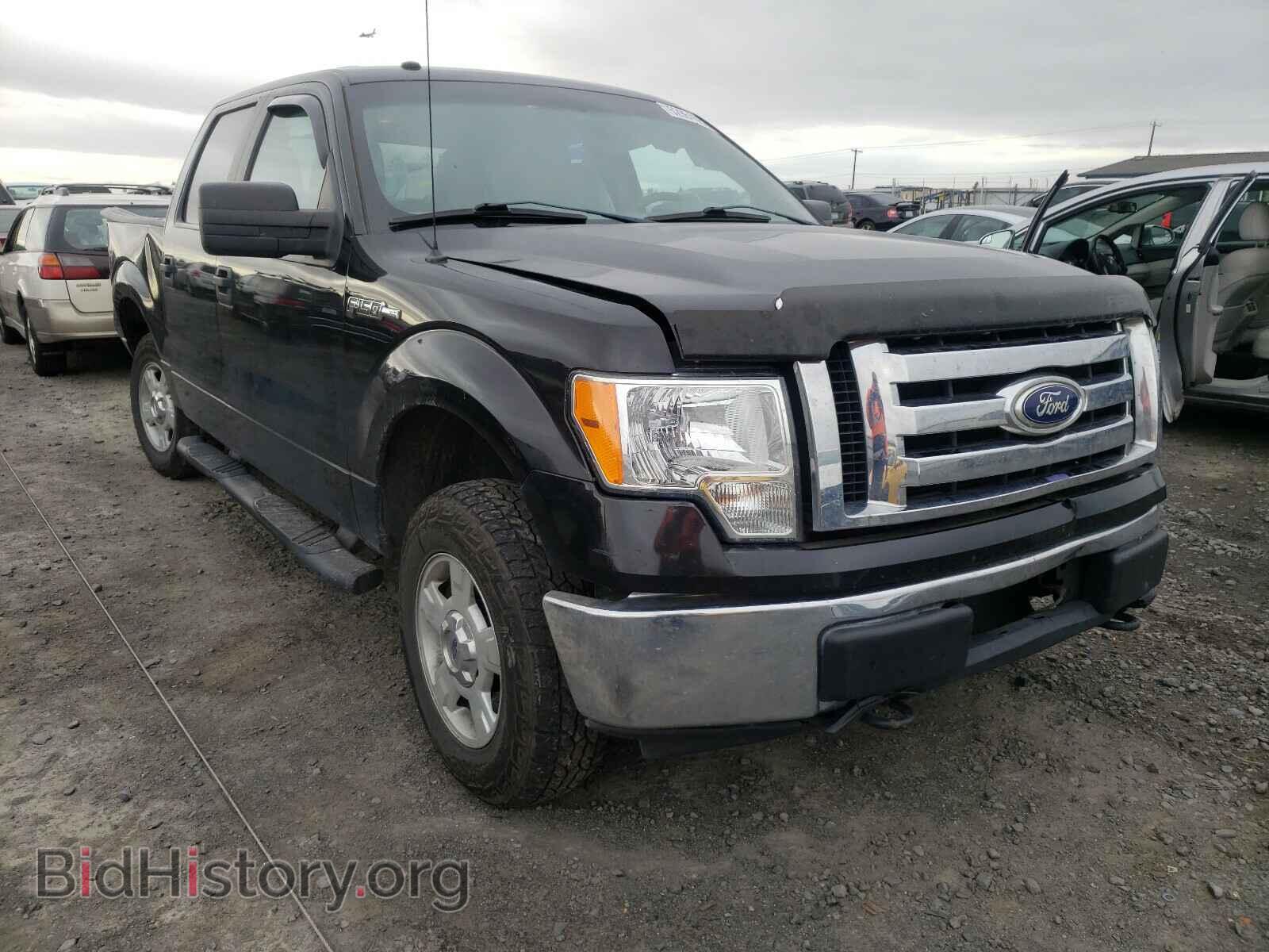 Photo 1FTEW1E84AFB51706 - FORD F150 2010