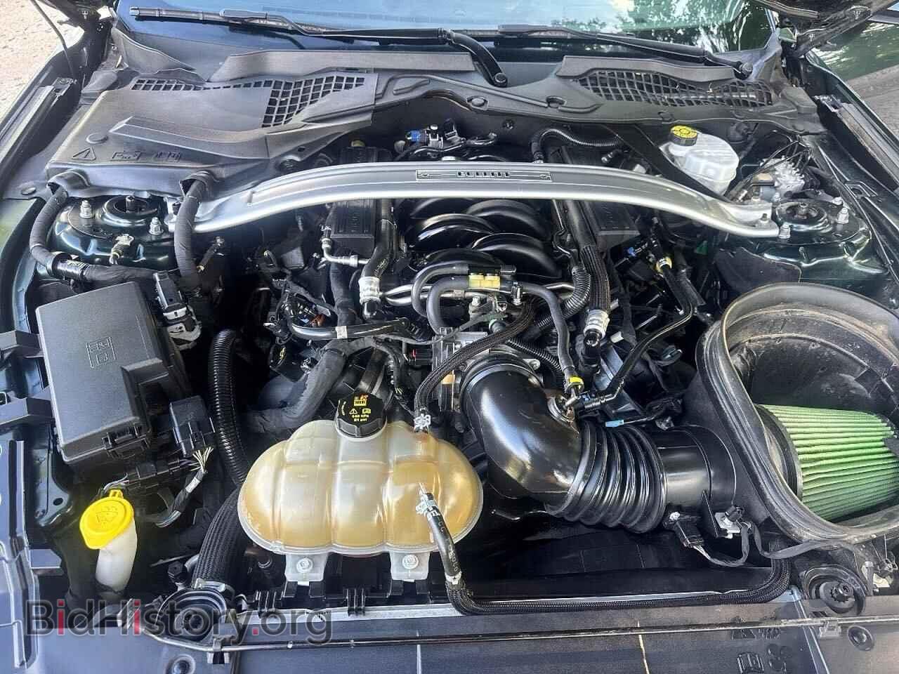 2019 FORD MUSTANG - VIN: 1FA6P8K00K5504450 - Фото 7