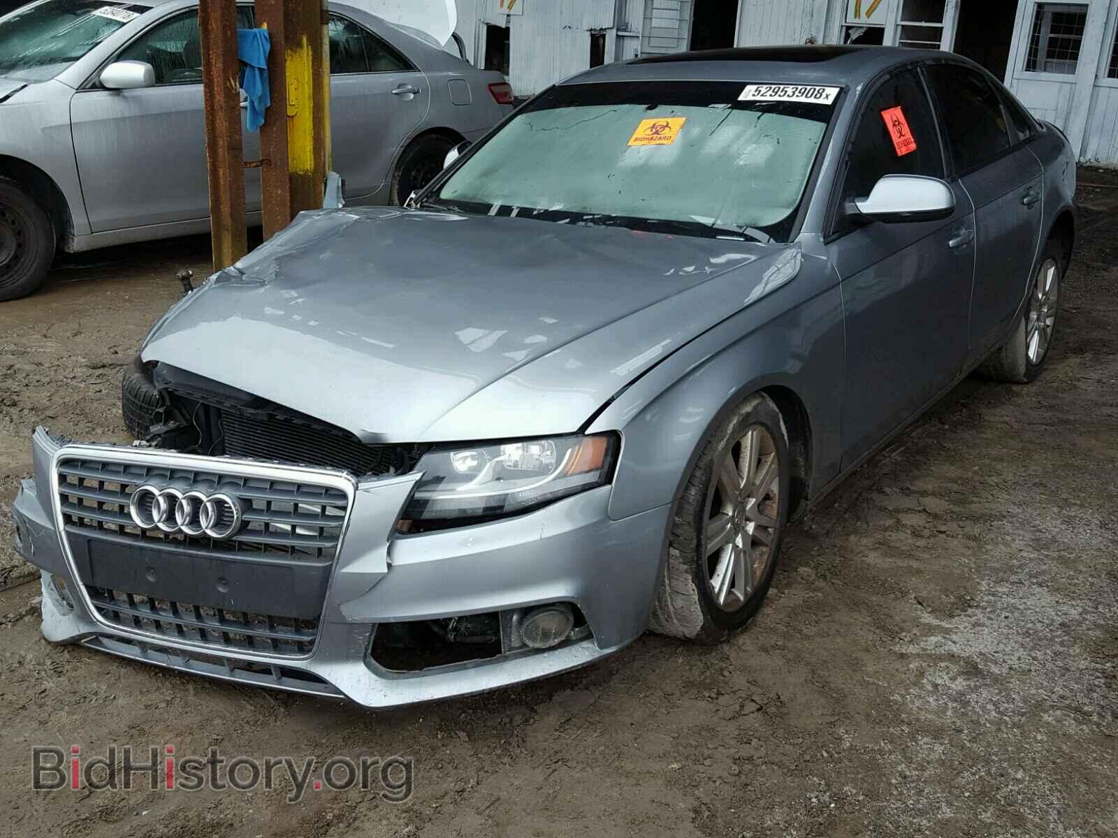 2010 AUDI A4 - VIN: WAUAFAFL3AN016107 - Фото 2