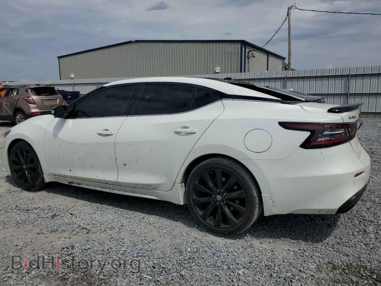 2019 NISSAN MAXIMA - VIN: 1N4AA6AV3KC364113 - Фото 2