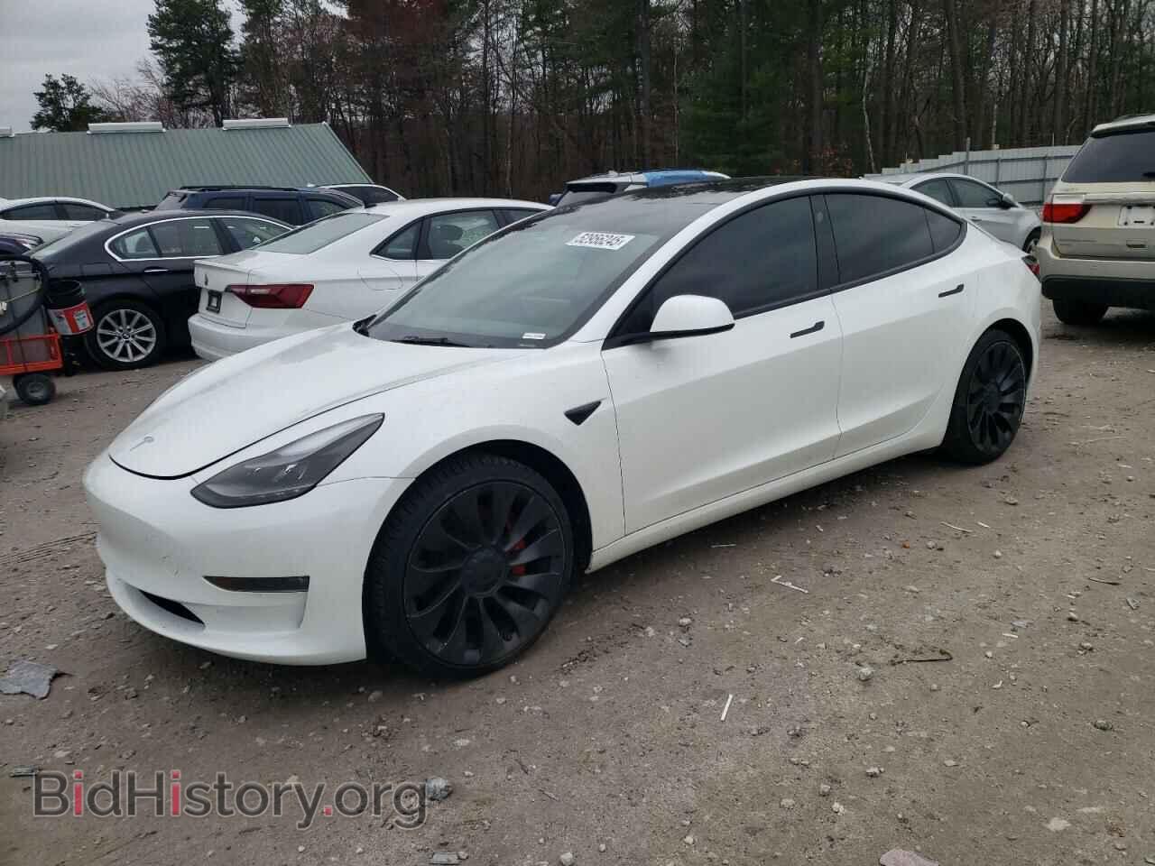 Фотография 5YJ3E1EC3PF608355 - TESLA MODEL 3 2023