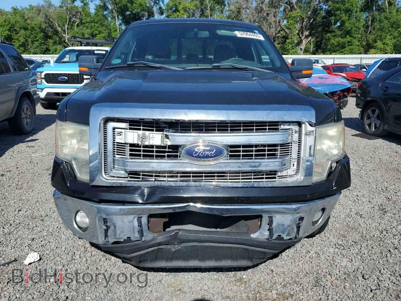 2013 FORD F-150 - VIN: 1FTFX1CF6DFD91217 - Фото 5
