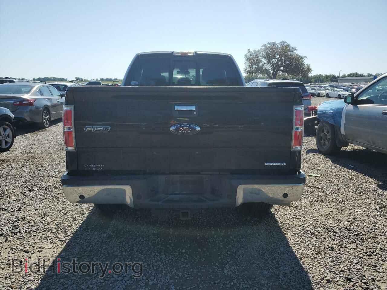 2013 FORD F-150 - VIN: 1FTFX1CF6DFD91217 - Фото 6