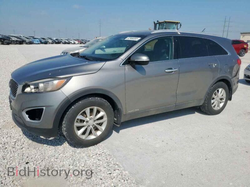2017 Kia SORENTO LX (VIN 5XYPGDA54HG324313) — фото 1 из 14, Copart, повреждение: град