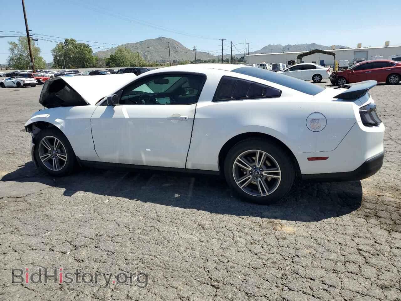 2010 FORD ALL Models - VIN: 1ZVBP8AN8A5132387 - Photo 2