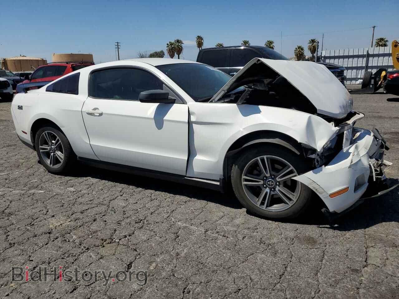 2010 FORD ALL Models - VIN: 1ZVBP8AN8A5132387 - Photo 4