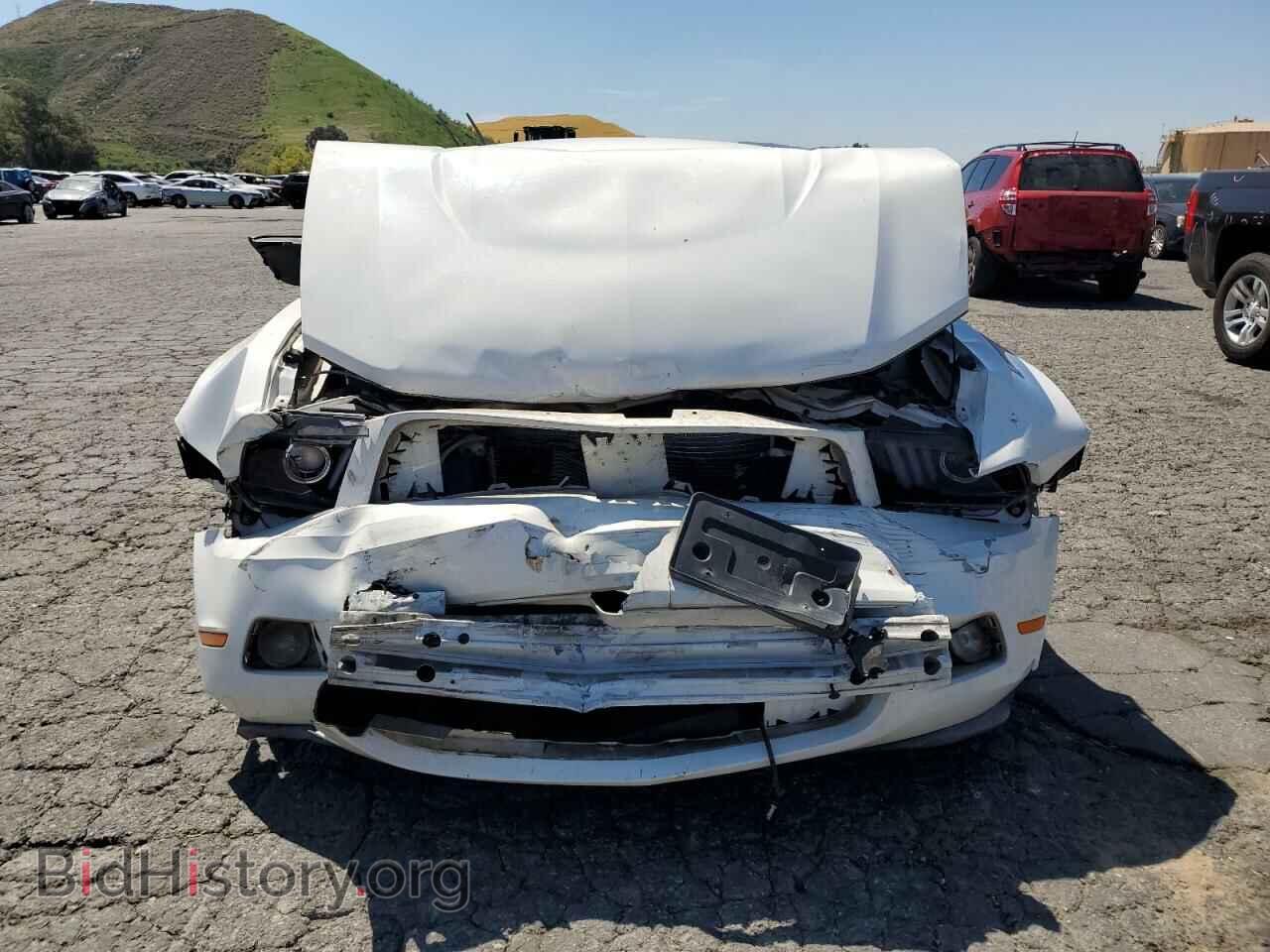 2010 FORD ALL Models - VIN: 1ZVBP8AN8A5132387 - Photo 5