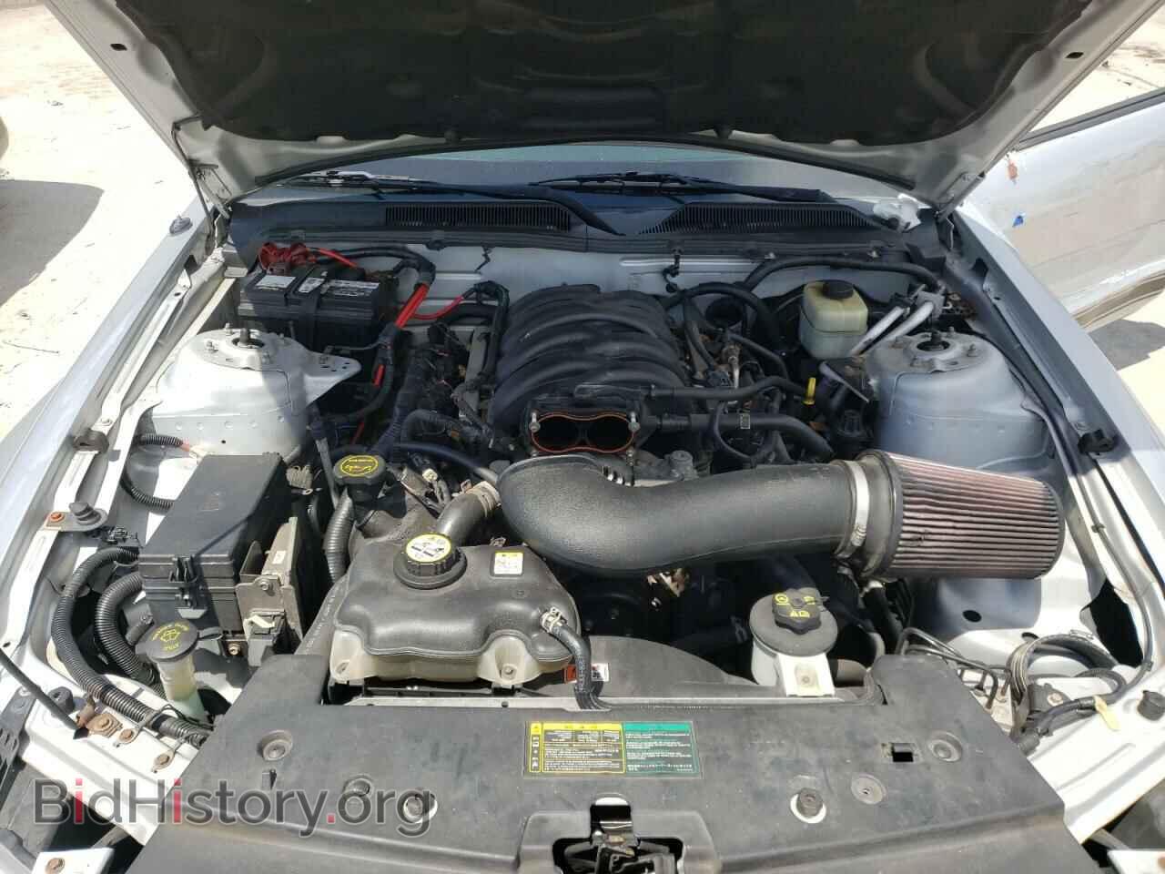 2006 FORD MUSTANG - VIN: 1ZVHT82H065217231 - Фото 7