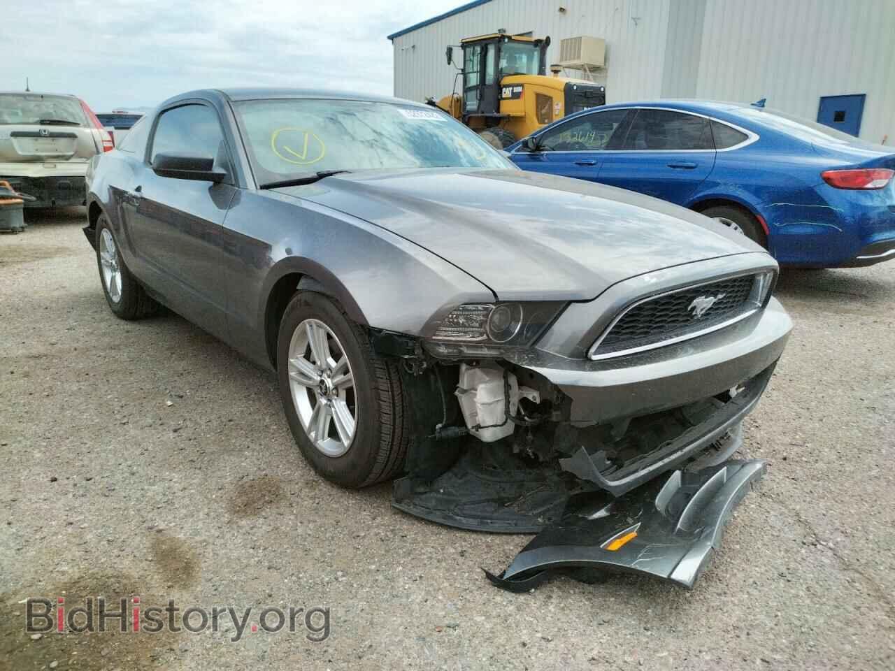 Фотография 1ZVBP8AM4D5275557 - FORD MUSTANG 2013