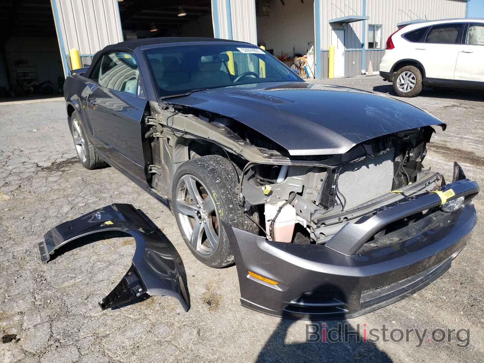 Photo 1ZVBP8FF4E5260794 - FORD MUSTANG 2014