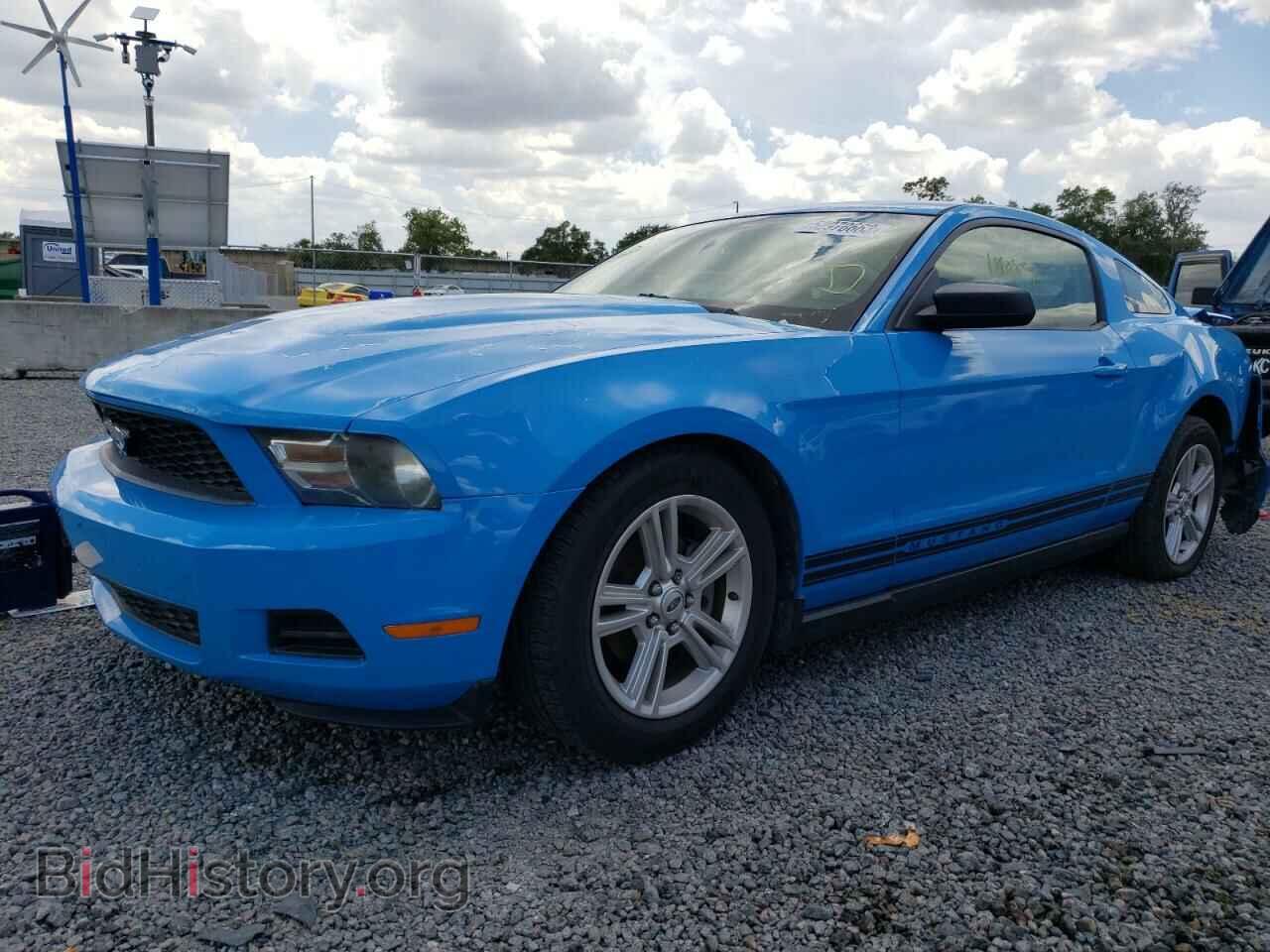 Photo 1ZVBP8AN3A5128232 - FORD MUSTANG 2010