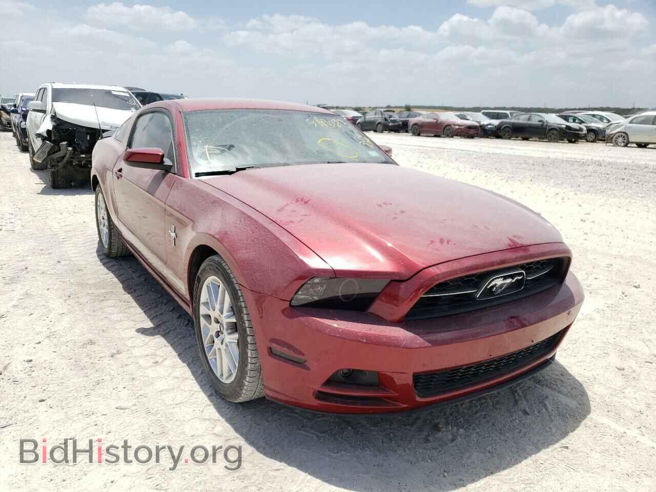 Фотография 1ZVBP8AM2E5258838 - FORD MUSTANG 2014