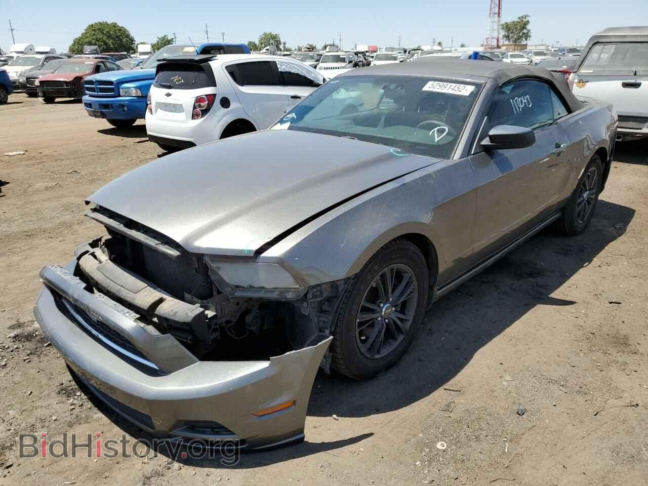 2013 FORD MUSTANG - VIN: 1ZVBP8EM9D5280361 - Фото 2