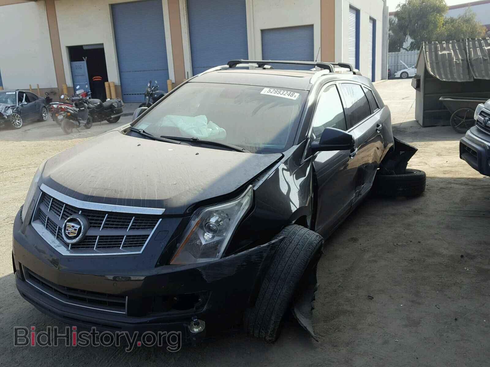 2011 CADILLAC SRX PERFOR - VIN: 3GYFNEEY9BS600562 - Фото 2