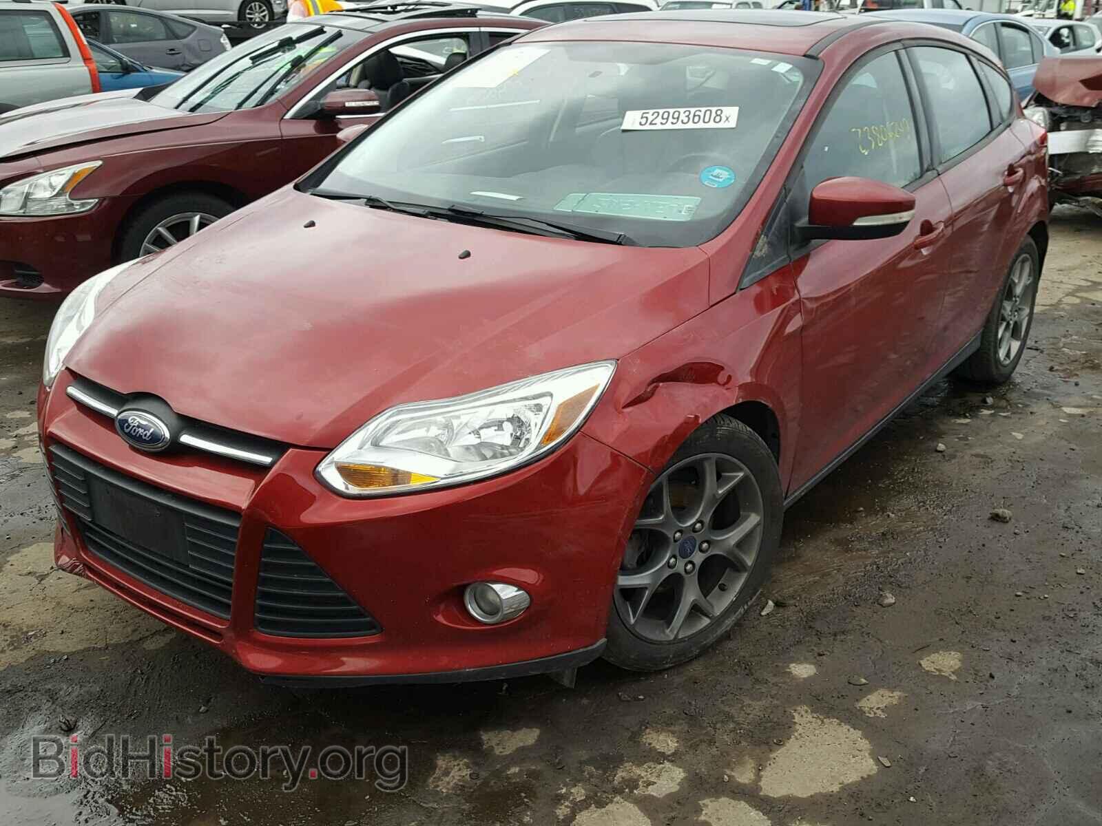 2013 FORD FOCUS - VIN: 1FADP3K24DL342722 - Фото 2