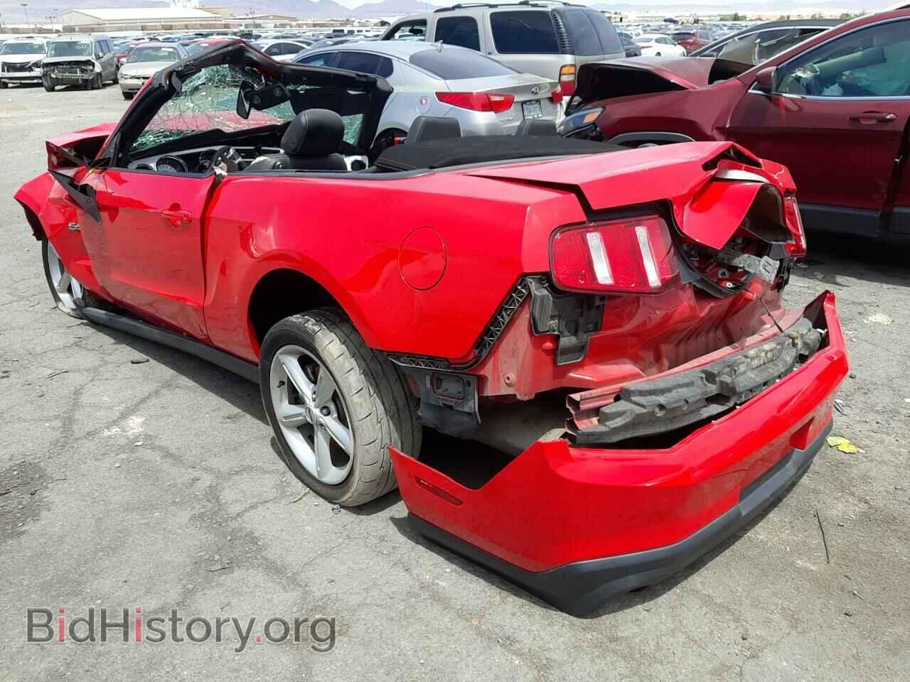 2011 FORD MUSTANG - VIN: 1ZVBP8FF0B5161501 - Фото 3