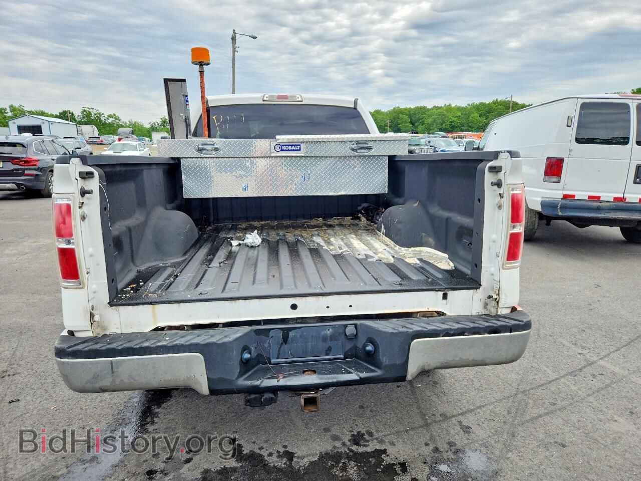 2013 FORD F150 - VIN: 1FTMF1EF8DKE24491 - Фото 6