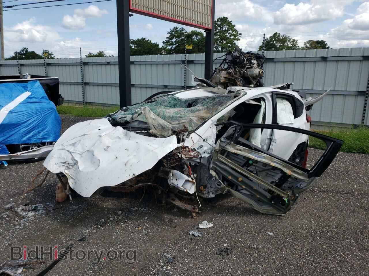 2014 FORD FOCUS - VIN: 1FADP3L91EL447974 - Фото 2