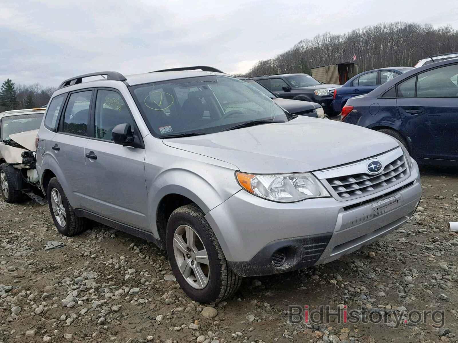 Photo JF2SHABC1BH782717 - SUBARU FORESTER 2011