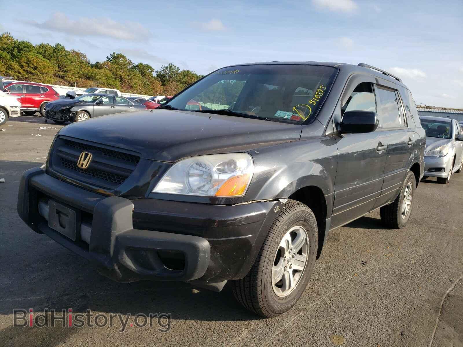 2005 HONDA PILOT - VIN: 2HKYF18745H510595 - Фото 2